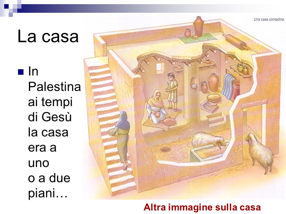La casa In Palestina ai tempi di Gesù la casa era a uno o a due piani…