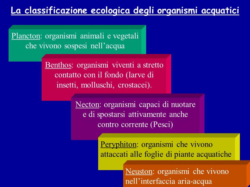La classificazione ecologica degli organismi acquatici