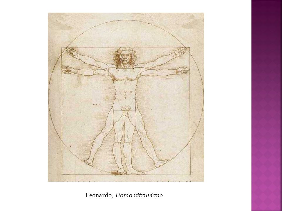 Leonardo, Uomo vitruviano