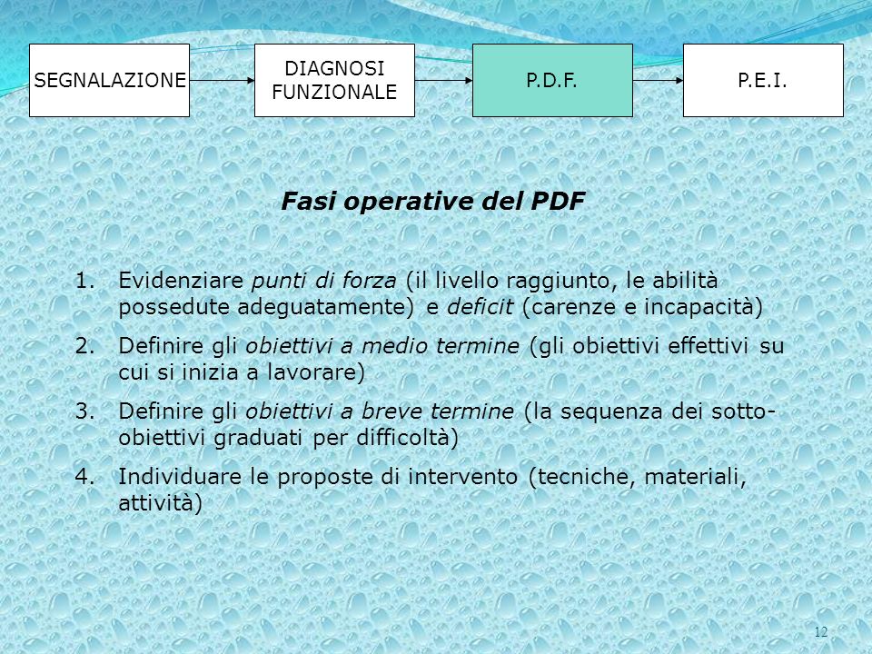 SEGNALAZIONE DIAGNOSI FUNZIONALE. P.D.F. P.E.I. Fasi operative del PDF.