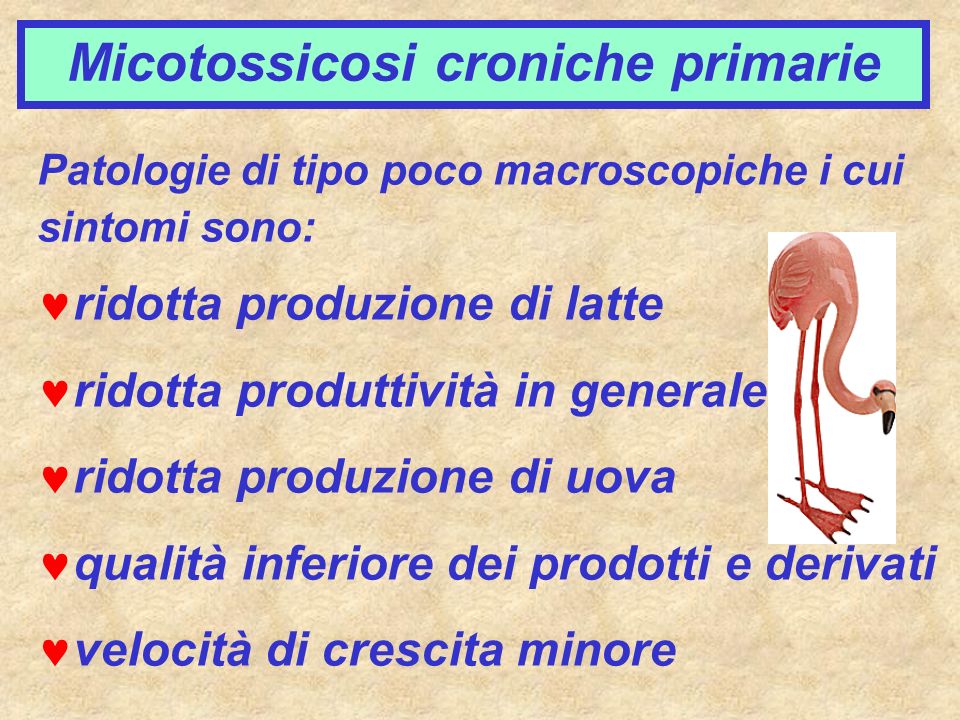 Micotossicosi croniche primarie
