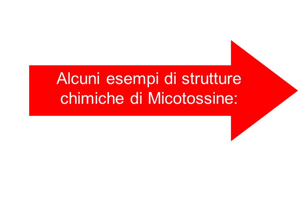 Alcuni esempi di strutture chimiche di Micotossine: