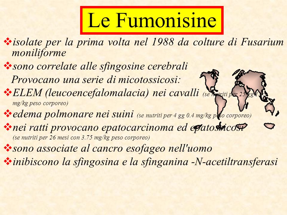 Le Fumonisine isolate per la prima volta nel 1988 da colture di Fusarium moniliforme. sono correlate alle sfingosine cerebrali.
