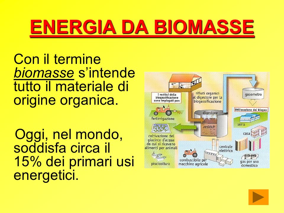 ENERGIA DA BIOMASSE Con il termine biomasse s’intende tutto il materiale di origine organica.