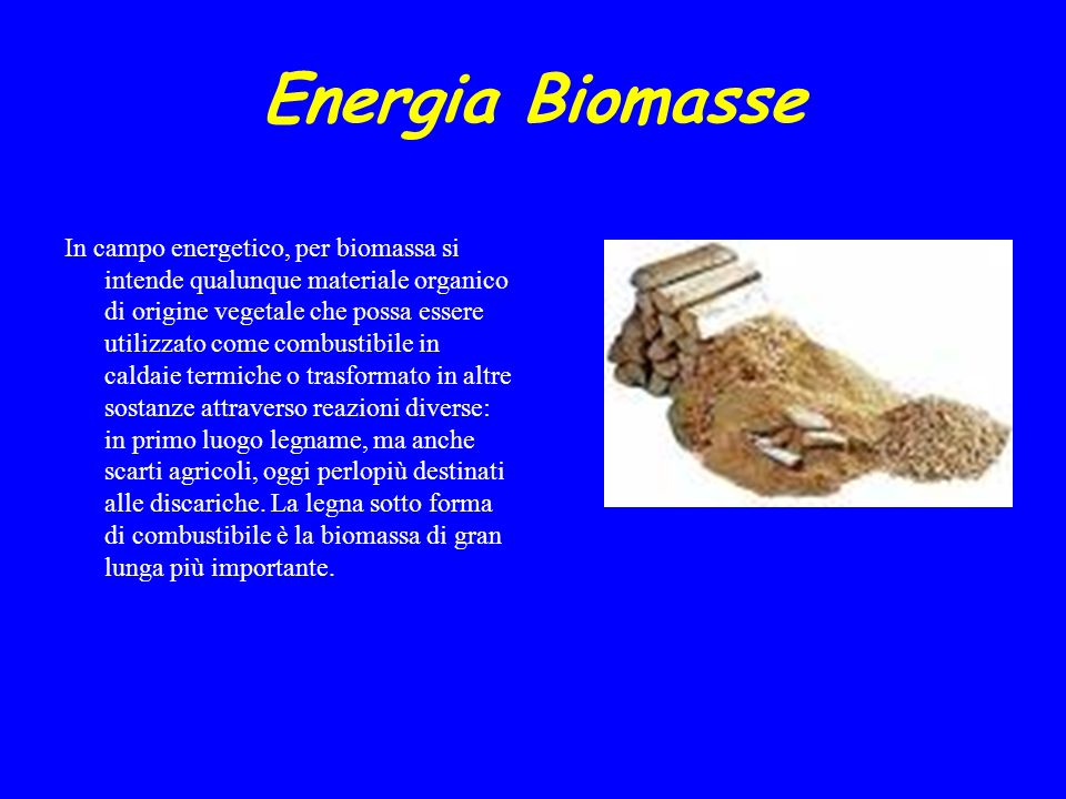 Energia Biomasse INTRODUZIONE