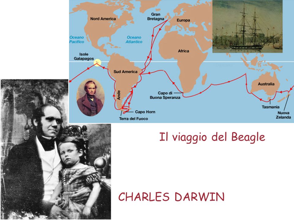 Il viaggio del Beagle CHARLES DARWIN