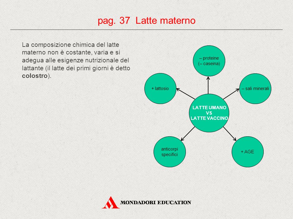 pag. 37 Latte materno