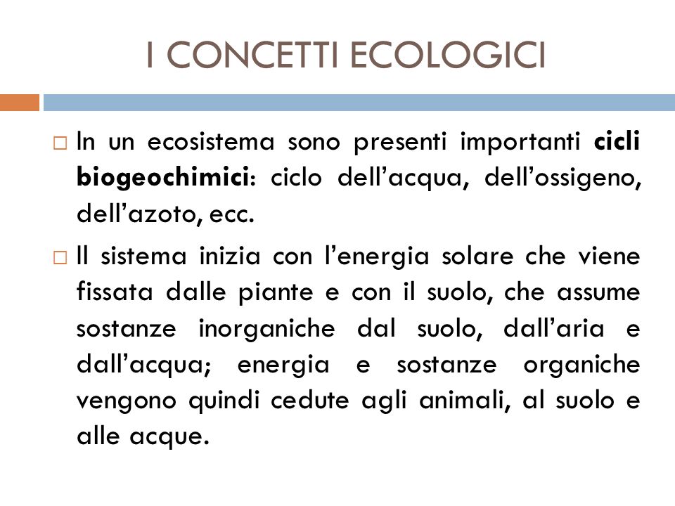 I CONCETTI ECOLOGICI In un ecosistema sono presenti importanti cicli biogeochimici: ciclo dell’acqua, dell’ossigeno, dell’azoto, ecc.