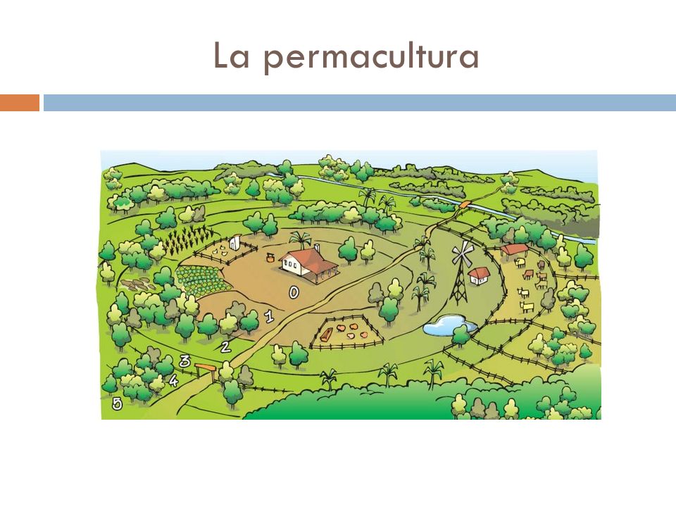 La permacultura