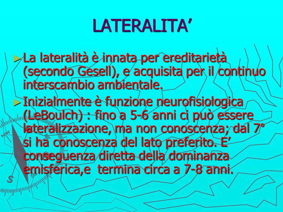 LATERALITA’ La lateralità è innata per ereditarietà (secondo Gesell), e acquisita per il continuo interscambio ambientale.