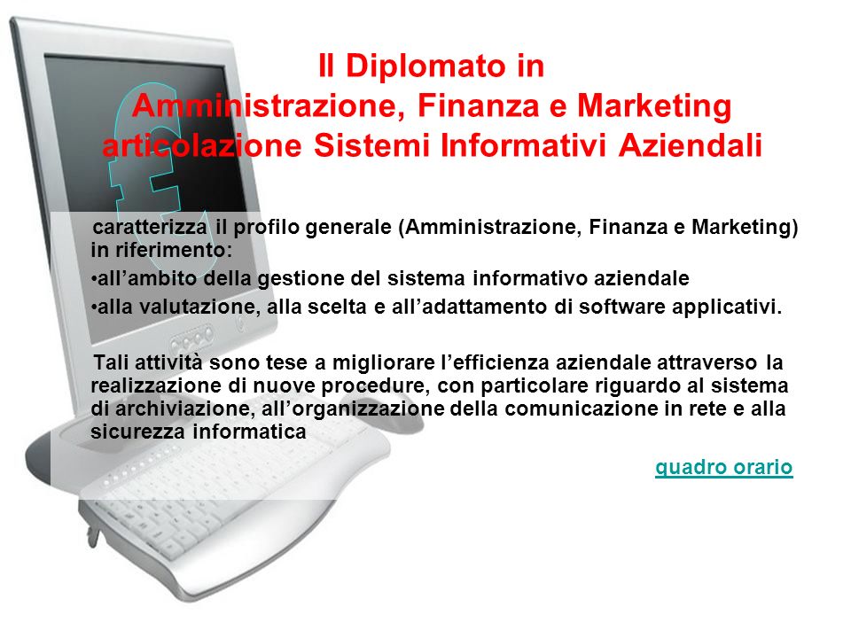 Il Diplomato in Amministrazione, Finanza e Marketing articolazione Sistemi Informativi Aziendali