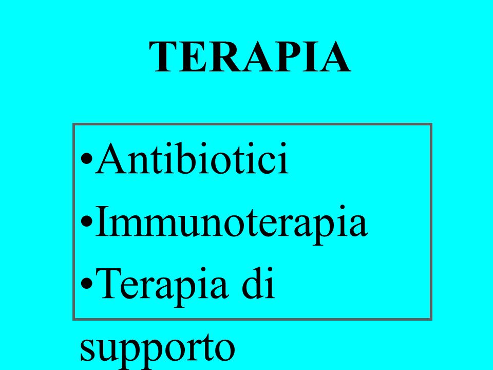 TERAPIA Antibiotici Immunoterapia Terapia di supporto