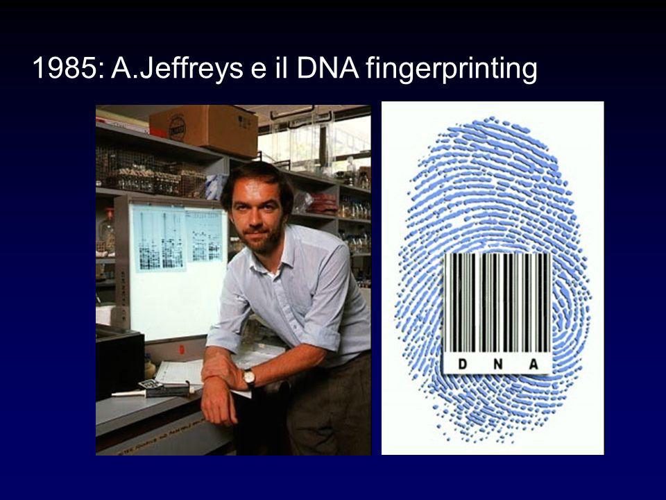 1985: A.Jeffreys e il DNA fingerprinting