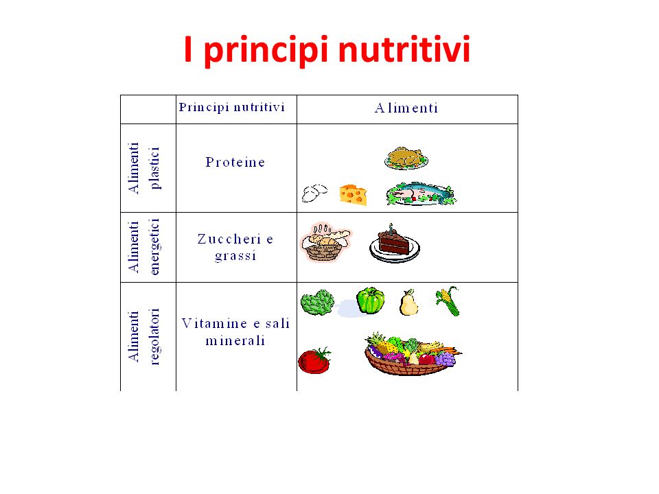 I principi nutritivi