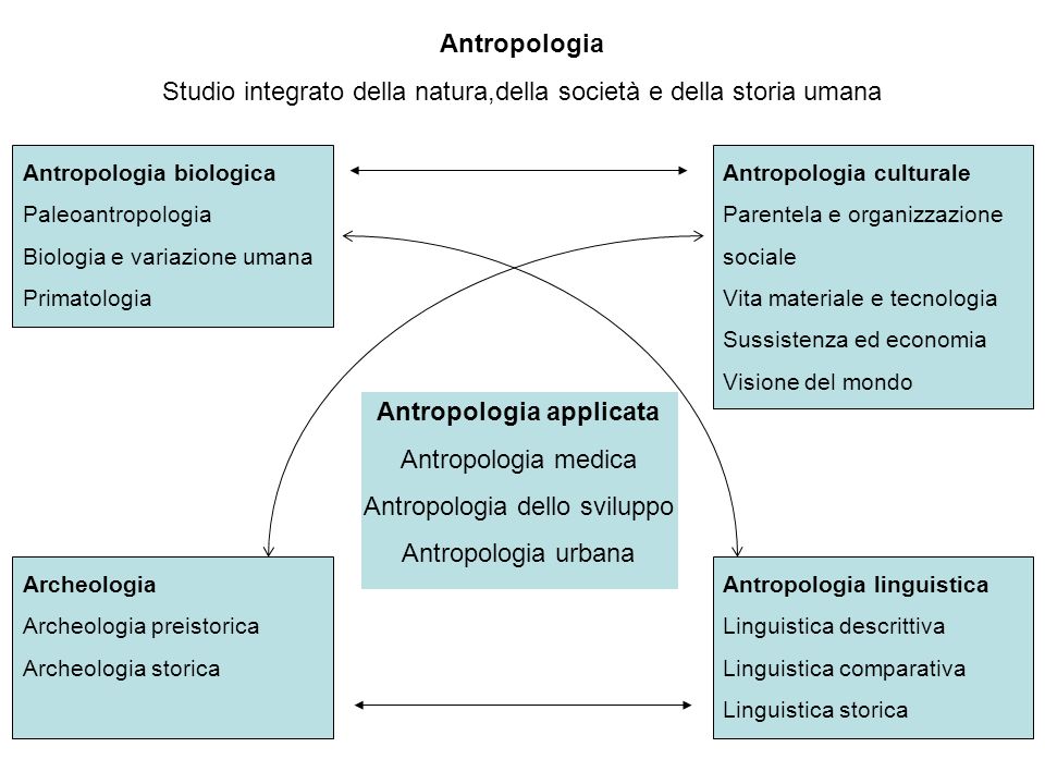 Antropologia culturale - Schemi