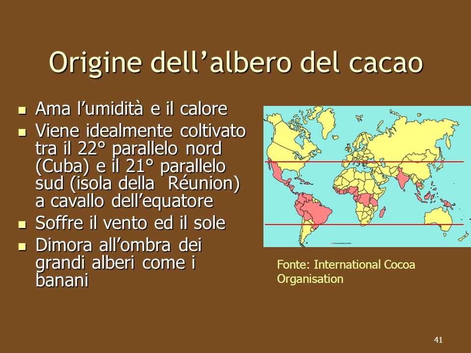 Origine dell’albero del cacao