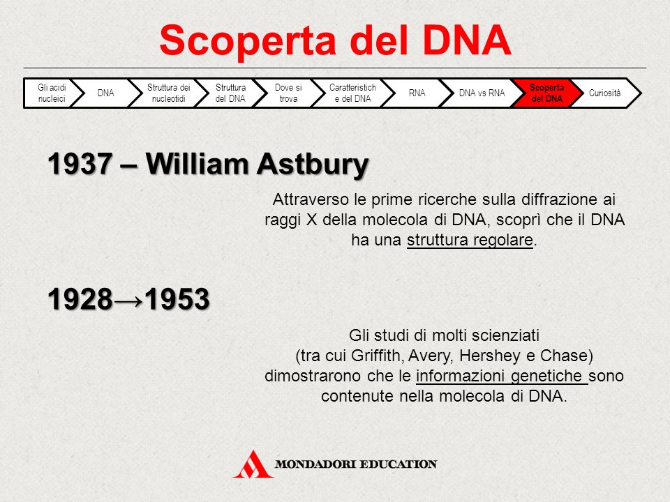 Scoperta del DNA 1937 – William Astbury 1928→1953
