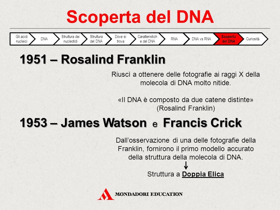 Scoperta del DNA 1951 – Rosalind Franklin