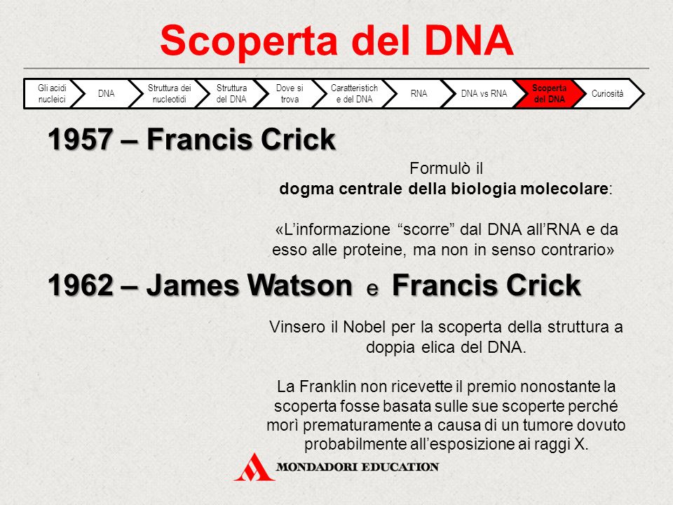 Scoperta del DNA 1957 – Francis Crick