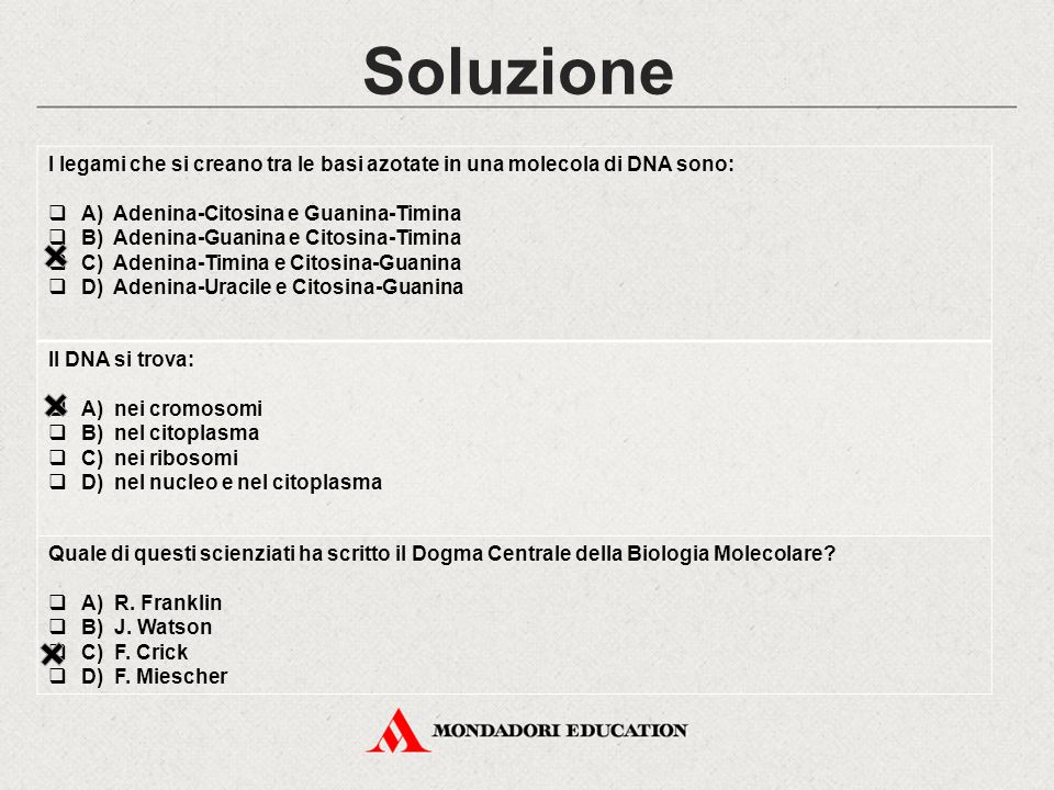 Soluzione I legami che si creano tra le basi azotate in una molecola di DNA sono: A) Adenina-Citosina e Guanina-Timina.