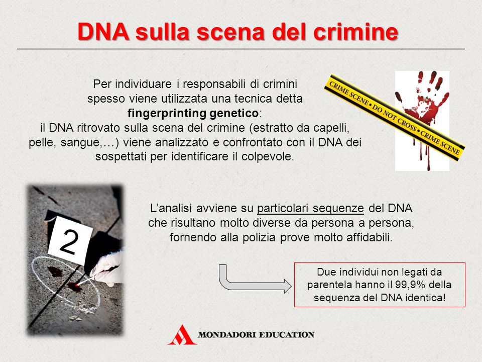 DNA sulla scena del crimine