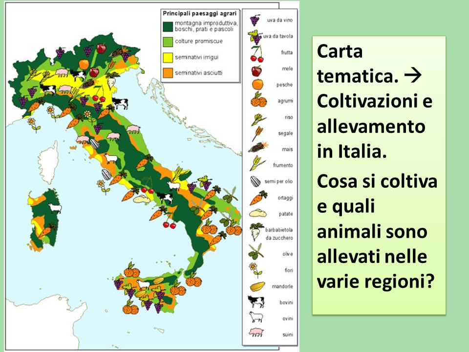 Carta tematica.  Coltivazioni e allevamento in Italia