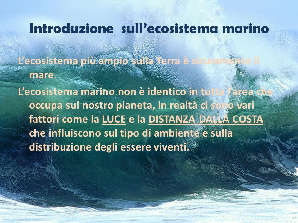 Introduzione sull’ecosistema marino