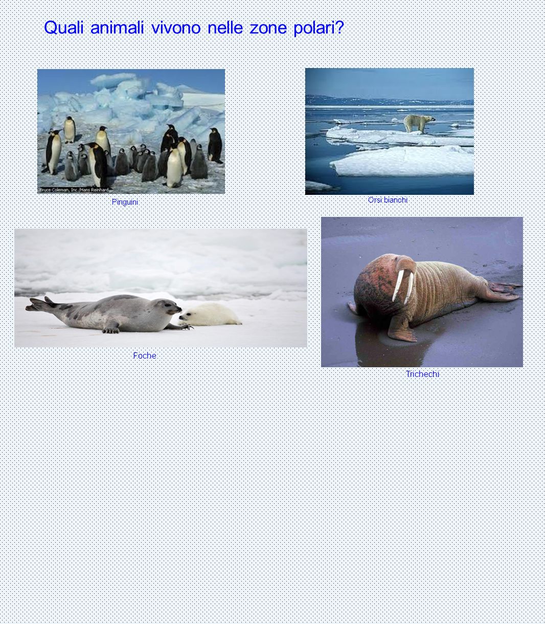 Quali animali vivono nelle zone polari