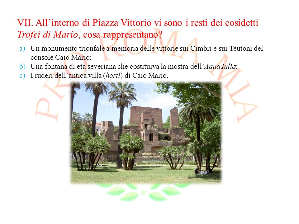 VII. All’interno di Piazza Vittorio vi sono i resti dei cosidetti Trofei di Mario, cosa rappresentano