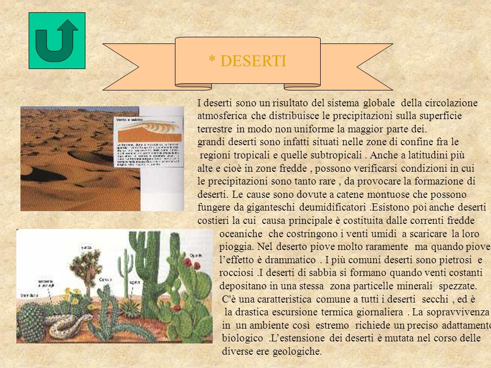 * DESERTI I deserti sono un risultato del sistema globale della circolazione atmosferica che distribuisce le precipitazioni sulla superficie.