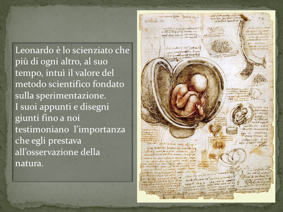 Leonardo è lo scienziato che più di ogni altro, al suo tempo, intuì il valore del metodo scientifico fondato sulla sperimentazione.