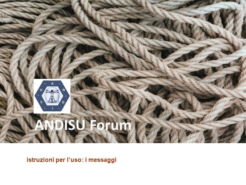 ANDISU Forum istruzioni per l’uso: i messaggi