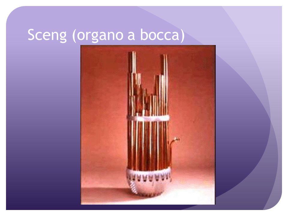Sceng (organo a bocca)