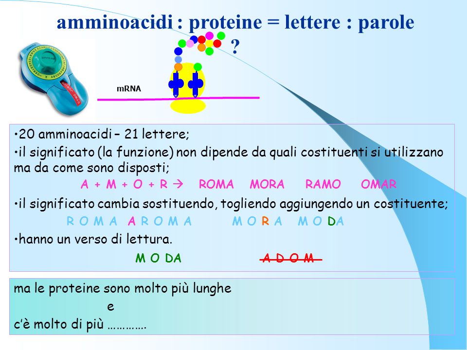 amminoacidi : proteine = lettere : parole