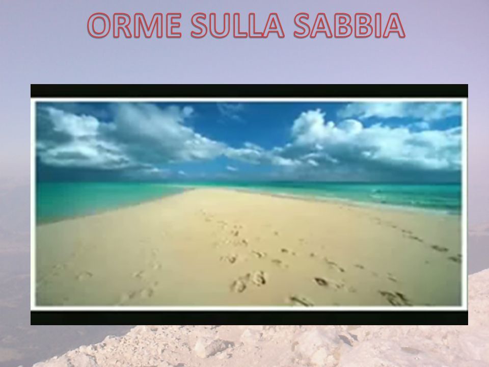 ORME SULLA SABBIA