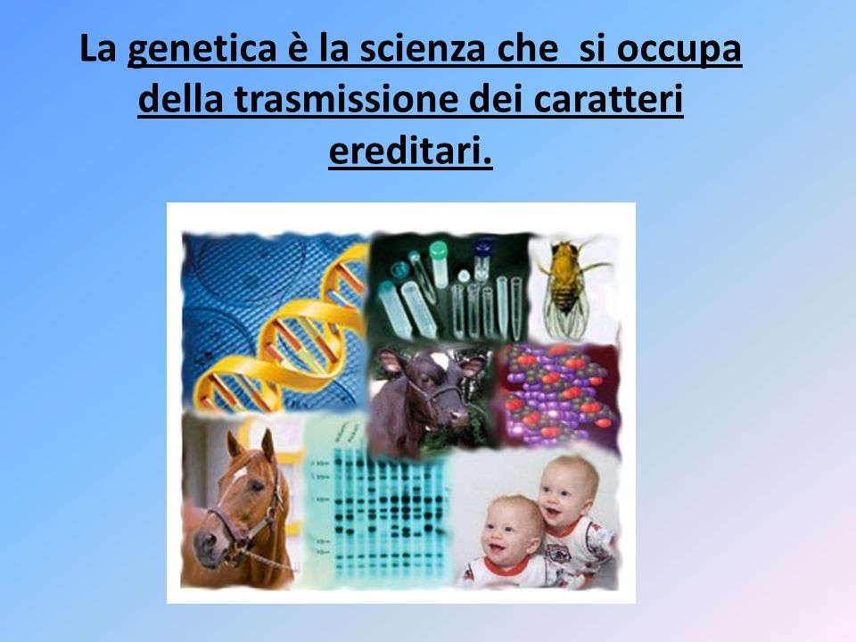 La genetica è la scienza che si occupa della trasmissione dei caratteri ereditari.