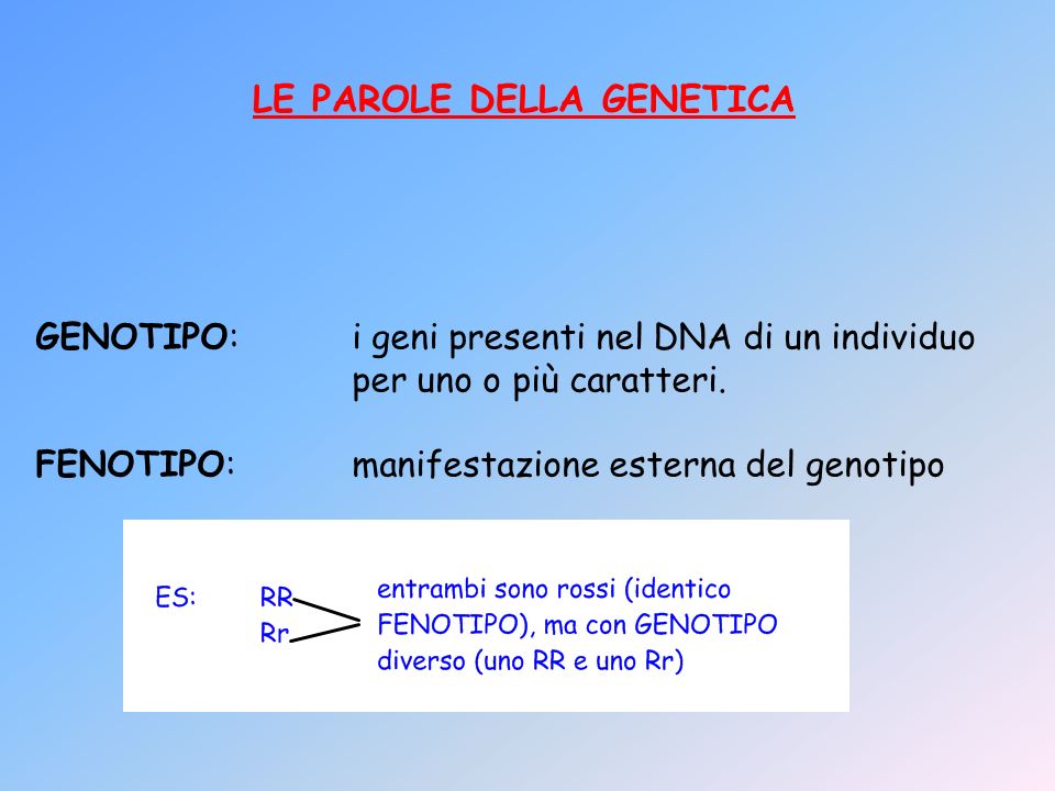 LE PAROLE DELLA GENETICA
