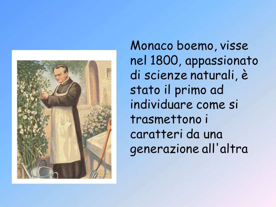 Monaco boemo, visse nel 1800, appassionato di scienze naturali, è stato il primo ad individuare come si trasmettono i caratteri da una generazione all altra