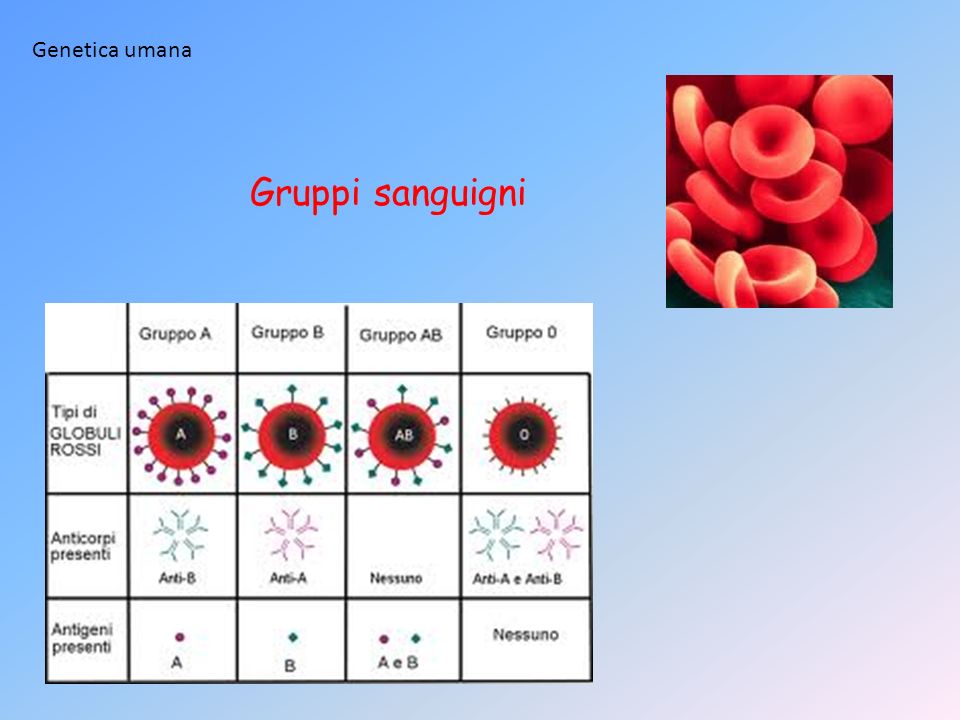 Genetica umana Gruppi sanguigni