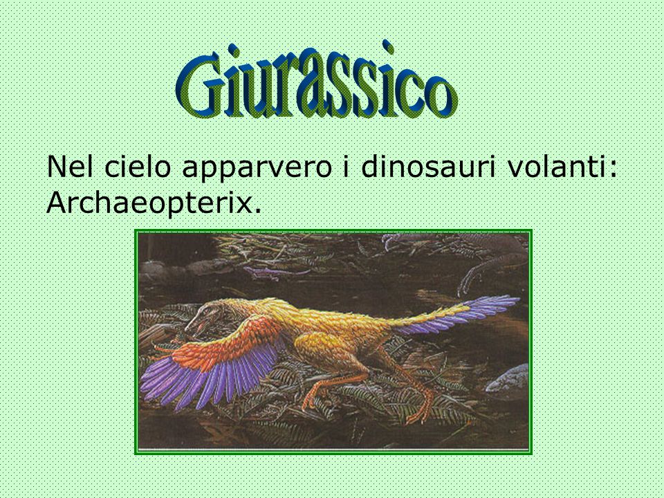 Giurassico Nel cielo apparvero i dinosauri volanti: Archaeopterix.
