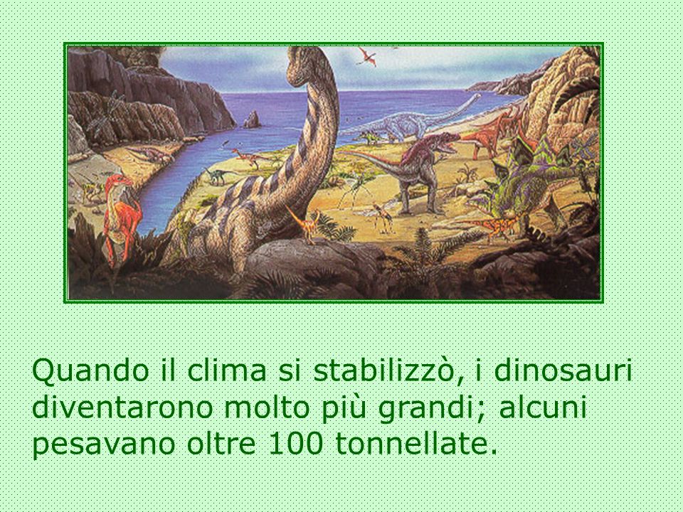 Quando il clima si stabilizzò, i dinosauri diventarono molto più grandi; alcuni pesavano oltre 100 tonnellate.