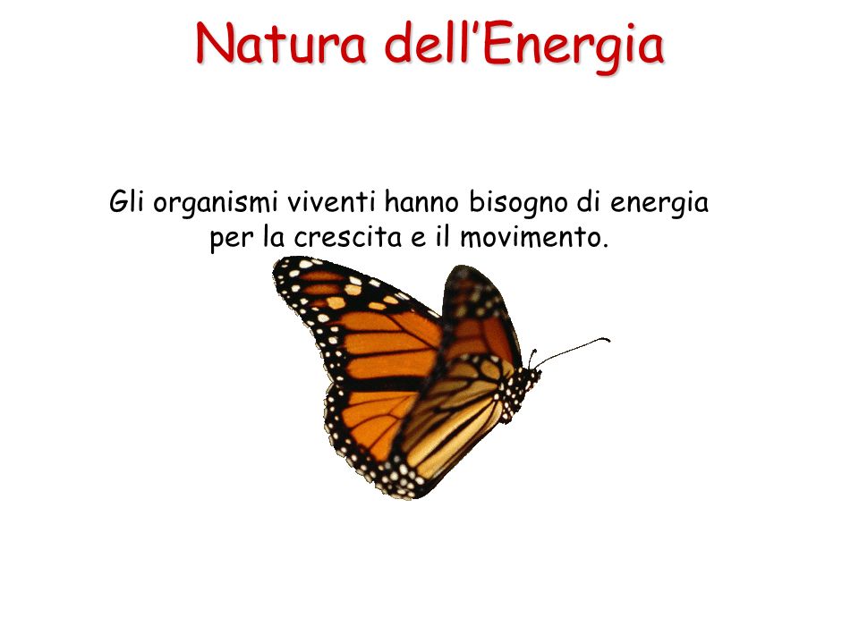 Natura dell’Energia Gli organismi viventi hanno bisogno di energia per la crescita e il movimento.