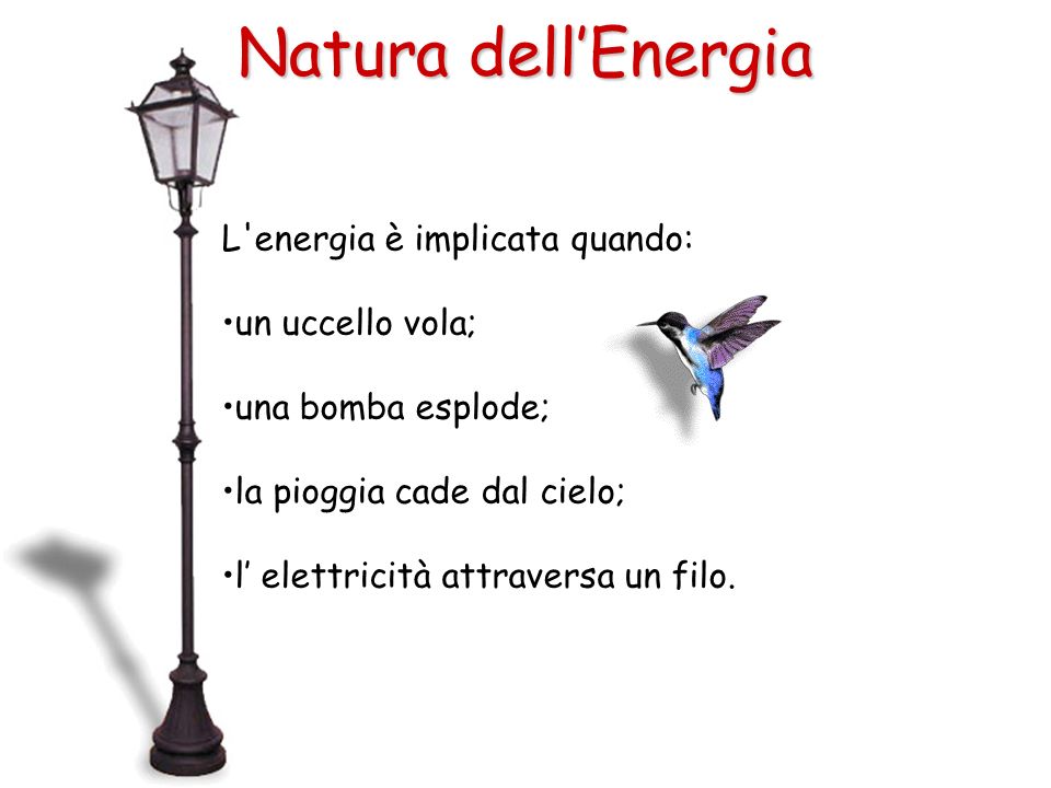 Natura dell’Energia L energia è implicata quando: un uccello vola;