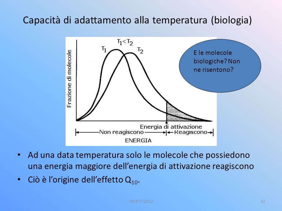 Capacità di adattamento alla temperatura (biologia)
