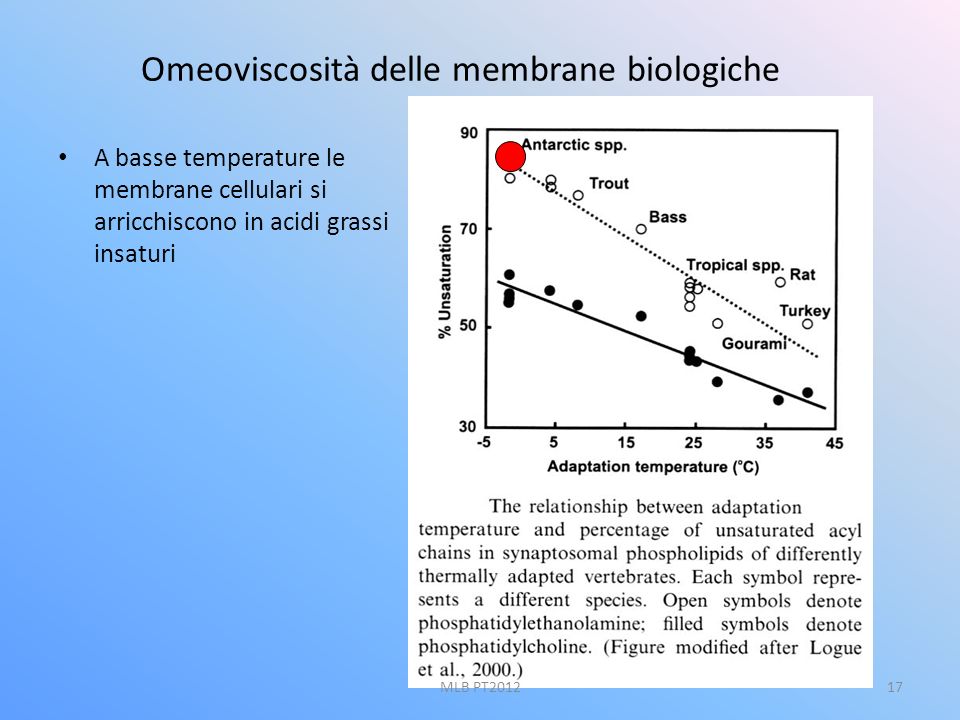 Omeoviscosità delle membrane biologiche