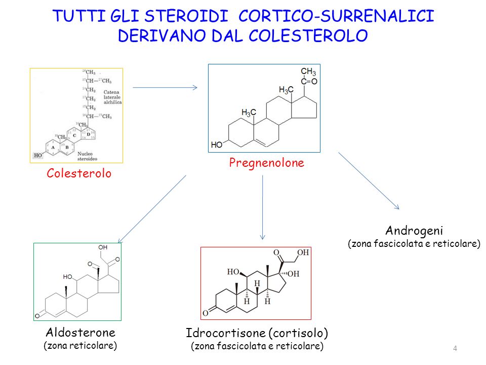 Why It's Easier To Fail With steroidi e vertigini Than You Might Think