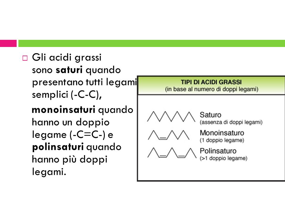Gli acidi grassi sono saturi quando presentano tutti legami semplici (-C-C),