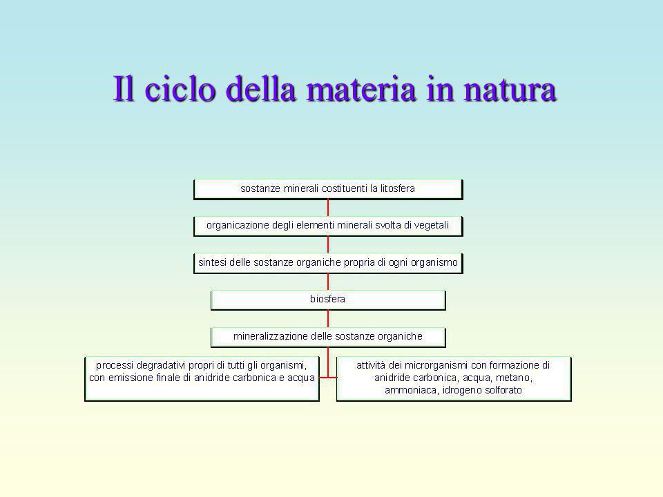 Il ciclo della materia in natura