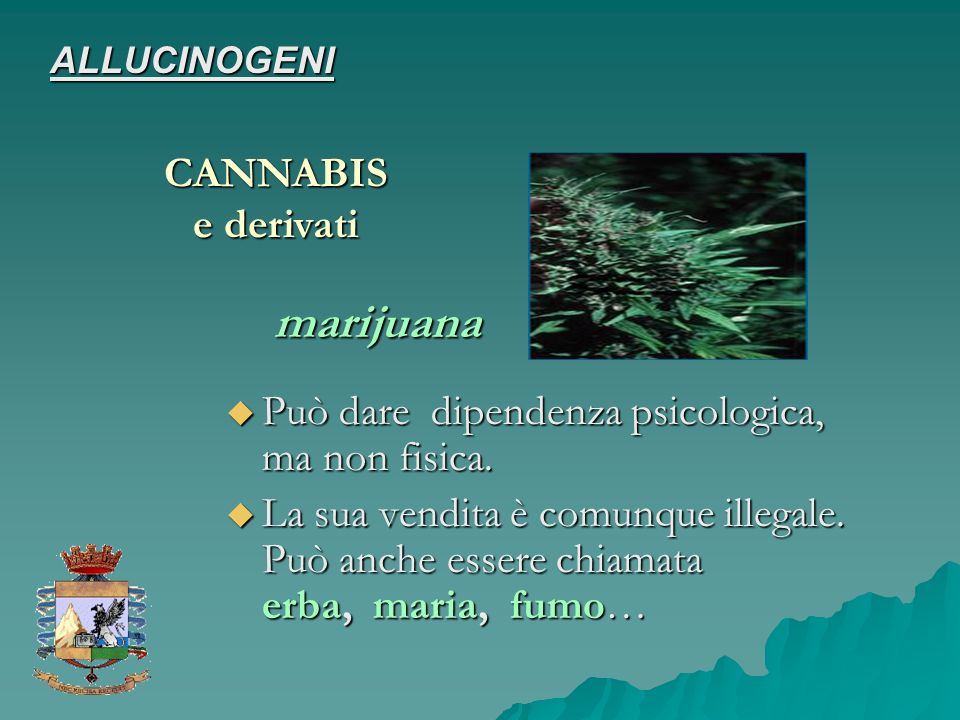 marijuana CANNABIS e derivati