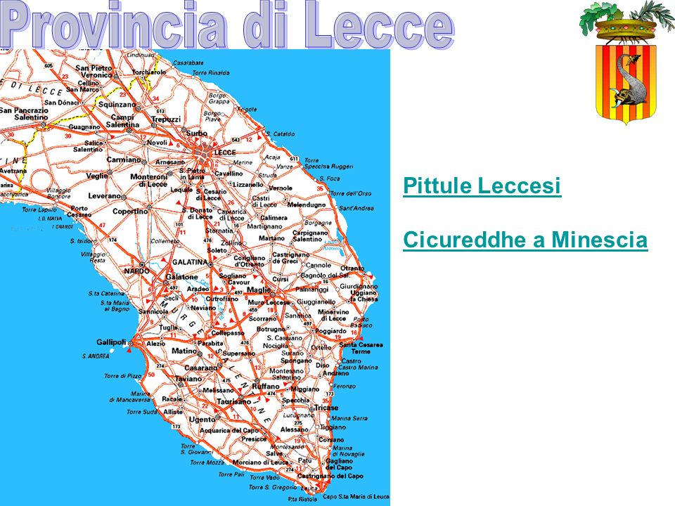 Provincia di Lecce Pittule Leccesi Cicureddhe a Minescia